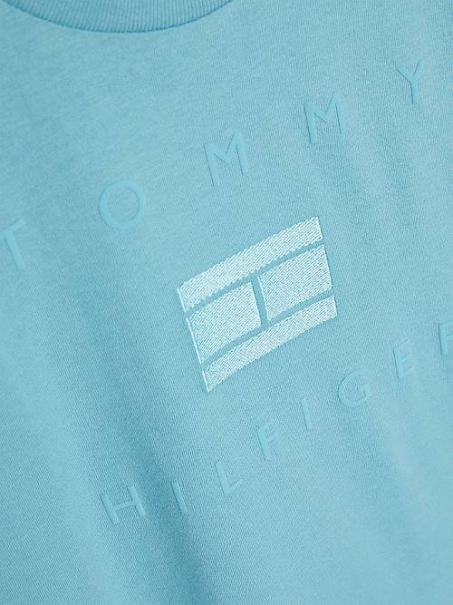 Koszulki Tommy Hilfiger Logo Chłopięce Niebieskie | TH463RFB