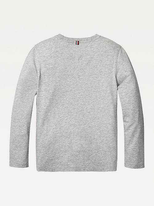 Koszulki Tommy Hilfiger Long-Sleeve Organic Bawełniane Chłopięce Szare | TH168GNL