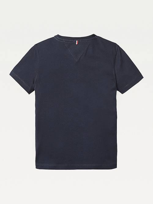 Koszulki Tommy Hilfiger Organic Bawełniane V-Neck Dziewczynka Niebieskie | TH234VTN