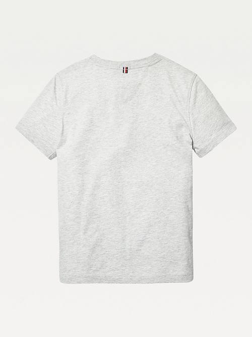 Koszulki Tommy Hilfiger Organic Bawełniane V-Neck Dziewczynka Szare | TH913CTR