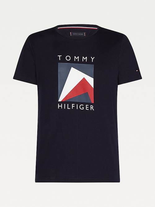 Koszulki Tommy Hilfiger Organic Bawełniane Logo Męskie Niebieskie | TH960DHE