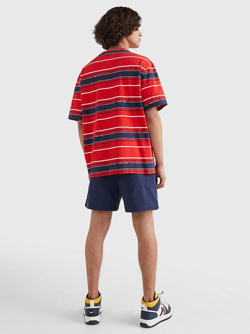 Koszulki Tommy Hilfiger Stripe Organic Bawełniane Męskie Niebieskie | TH165OAC