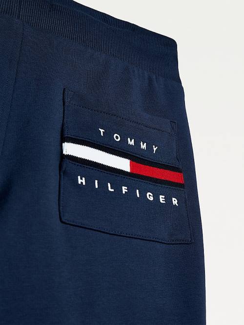 Spodnie Tommy Hilfiger Logo Embroidery Organic Bawełniane Joggers Chłopięce Niebieskie | TH651FCE