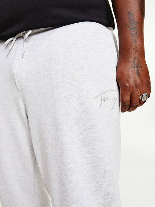 Spodnie Tommy Hilfiger Plus Recycled Signature Logo Slim Fit Joggers Męskie Szare | TH610BAV