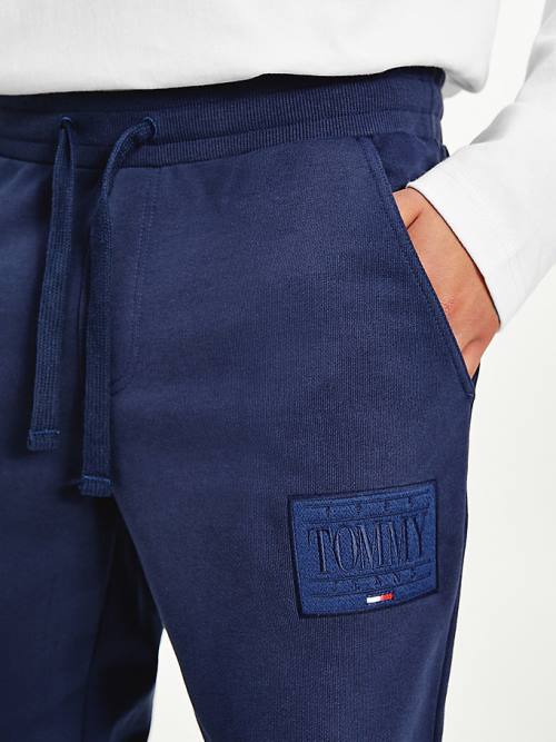 Spodnie Tommy Hilfiger Tonal Joggers Męskie Niebieskie | TH420AFH