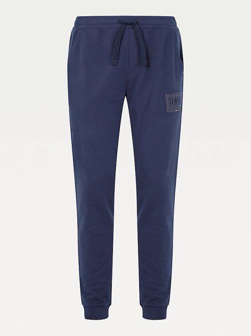 Spodnie Tommy Hilfiger Tonal Joggers Męskie Niebieskie | TH420AFH