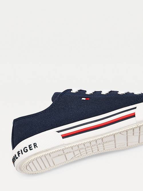 Trampki Tommy Hilfiger Bawełniane Płócienne Koronkowe-Up Low-Top Chłopięce Niebieskie | TH172NCG